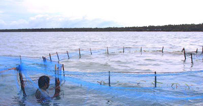 sea sea