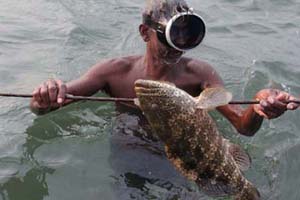 fisherman fisherman